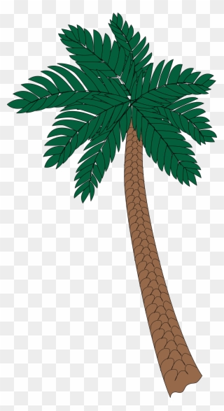 Palm - Palm Tree 2 Clipart