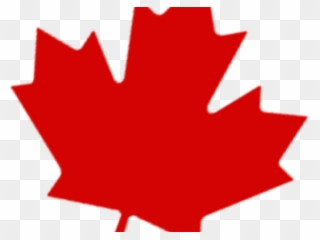 Canadian Maple Leaf Clipart - Png Download