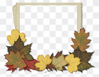 Maple Leaf Clipart Scrapbook - Coton De Tulear Note Cards - Png Download