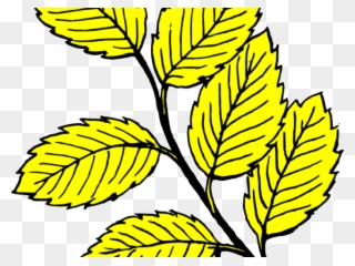 Leaf Clipart Lavender Clipart Leaf Yellow Birch - Leaves Clip Art - Png Download