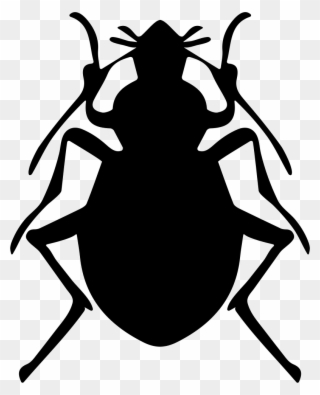 Svg Royalty Free Download Bug Vector Stink - Icono Insecto Png Clipart