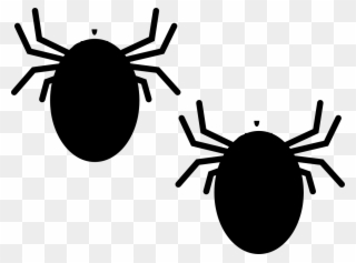Vector Library Library Bedbugs Have Been Plaguing - Tick Bug Clipart Png Transparent Png