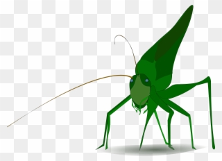 Insect Grasshopper Cricket Cartoon Drawing - Grasshopper Clipart - Png Download
