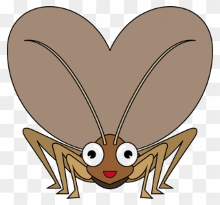 Free Png Cricket Insect Clipart Png Images Transparent - Insect