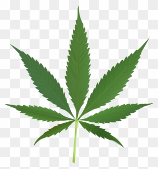 Cannabis Leaf Clipart