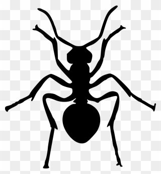 Ant Insect Art Silhouette Drawing - Ant Silhouette Clipart