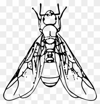 Ant Black And White Clipart Winged Ant - Ant With Wings Clipart Black And White - Png Download
