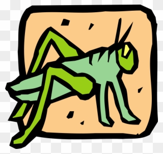 Insect 39 Free Vector / 4vector - Caelifera Clipart