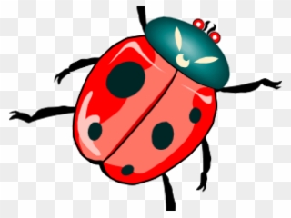 Clip Art Beetles - Png Download