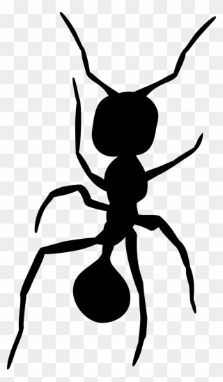 Ant Silhouette 2 By Tulvur - Ant Drawing Clipart