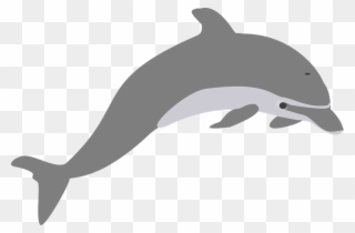 Bottlenose Dolphin Clipart Strong - Grey Dolphin Clipart - Png Download
