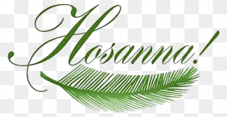 Pretty Design Clipart Palm Sunday By Sister Rose Ann - Palm Sunday - Png Download