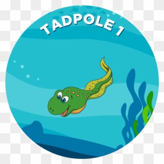 Tadpole Clipart Foot - Png Download
