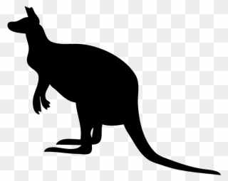 Joey Kangaroo Silhouette Cat Animal - Zoo Animal Silhouette Png Clipart