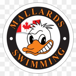 Mallards Swimming Team In Markham - Kluane National Park Clipart