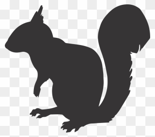 Ladybug Silhouette Cliparts 19, Buy Clip Art - Squirrel Silhouette Png Transparent Png