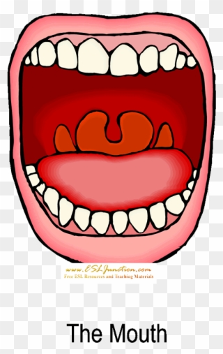 Mouth Clip Art Free Clipart Images - Mouth Free Clip Art - Png Download