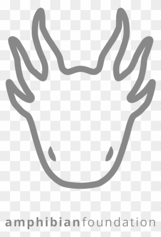 The Amphibian Foundation Logo 4-2v - Axolotl Symbol Black Clipart