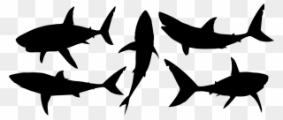 Big Image - Great White Shark Silhouette Clipart