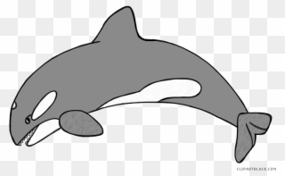 Huge Freebie Download For Powerpoint Presentations - Killer Whale Clipart Png Transparent Png