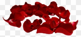 Svg Petal Clip Art Transprent Png Free Download - Red Rose Petals Png Transparent Png