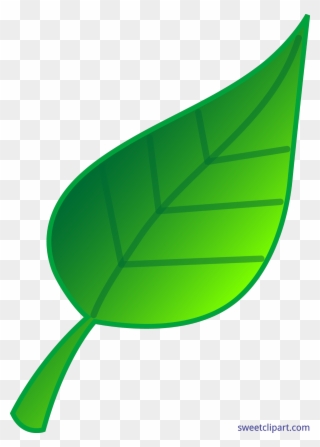 Green Leaf Clip Art - Png Download