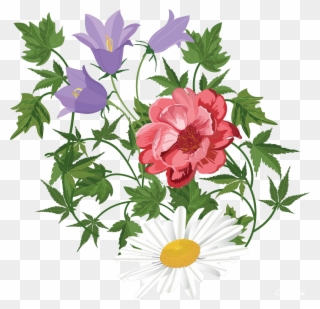 Flower Floral Design Clip Art Transprent - Flower - Png Download