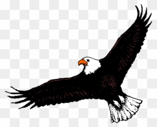 Bald Eagle Clipart Soaring Eagle - Clipart Of Flying Eagle - Png Download
