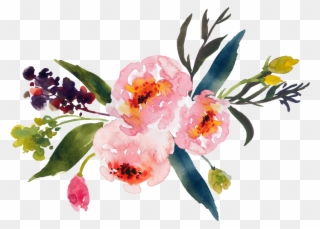 We Are Not Only A - Watercolor Flower Clipart Png Transparent Png