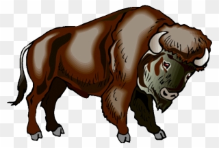 Buffalo Clipart Bison - Native American Buffalo Clipart - Png Download
