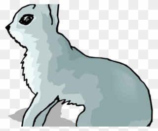 Arctic Wolf Clipart Arctic Rabbit - Snowshoe Hare Clipart - Png Download