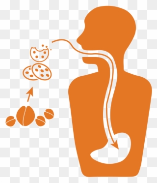 Impacts Our Food System - Peptic Ulcer Disease Clipart