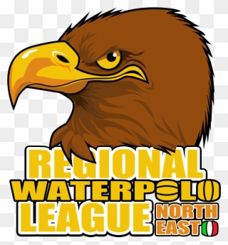 Regional League Ne - Water Polo Clipart