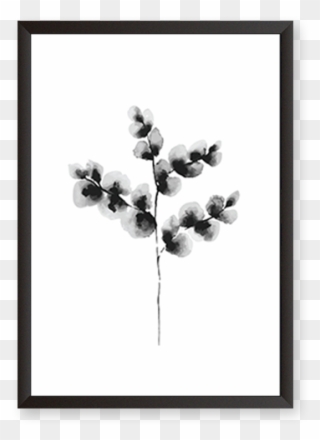 Cotton Plant - Desenio Cotton Plant Clipart