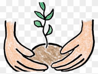 Pot Plant Clipart Baby - Tree Planting Clip Art - Png Download