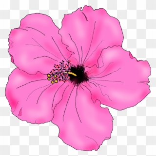 Flowers For Simple Hibiscus Flower Drawing - Pink Hibiscus Flower Drawing Clipart