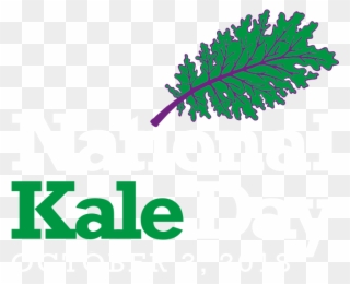Learn About This Superfood & Be Apart Of National Kale - Kale Realty Clipart
