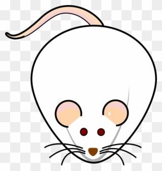 Balb C Mice Png Clipart