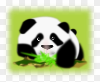 Panda Bear Back White Face Png Image - Panda Clip Art Transparent Png