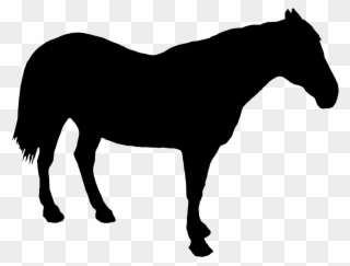 Horse Standing Silhouette Clipart