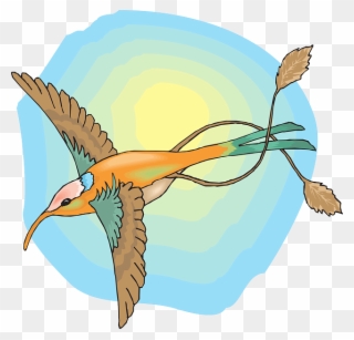 Feathers Sun, Sky, Bird, Wings, Hummingbird, The, With, - Sun And Birds Png Clipart Transparent Png