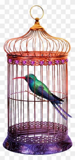 0 8f7ad 2c31c358 Orig Png Bird Houses And Feeders Pinterest - Byzantine Dome Bird Cages - Set Of 2 Clipart