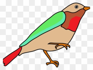 Sketch Clipart Bird - Bird Drawing With Color - Png Download
