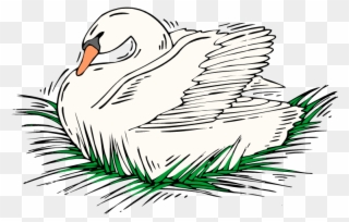 Nesting Swan - Duck Clipart