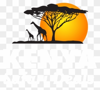 Kenya Safari Deals - Arboles Del Desierto Dibujo Clipart