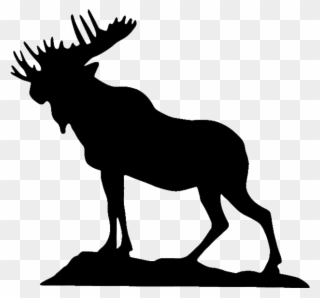 Moose Lodge Logo Clipart