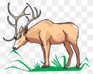Elk Eating - Love Reindeer Pillow Case Clipart