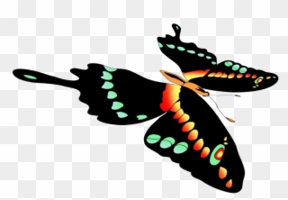 Clipartqueen - Moths And Butterflies - Png Download