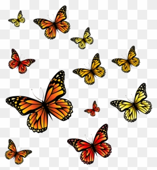 Clipart Butterfly Burgundy - Butterflies Png Transparent Png