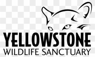 Yws Logo - Yellowstone Wildlife Sanctuary Clipart